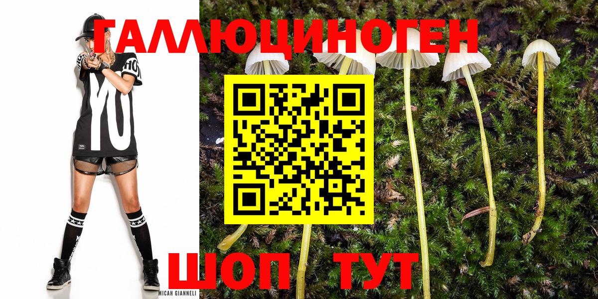 Псилоцибиновые грибы Magic Shrooms Лысьва